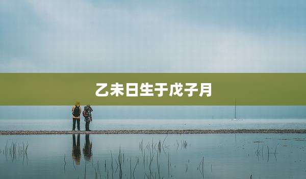 乙未日生于戊子月