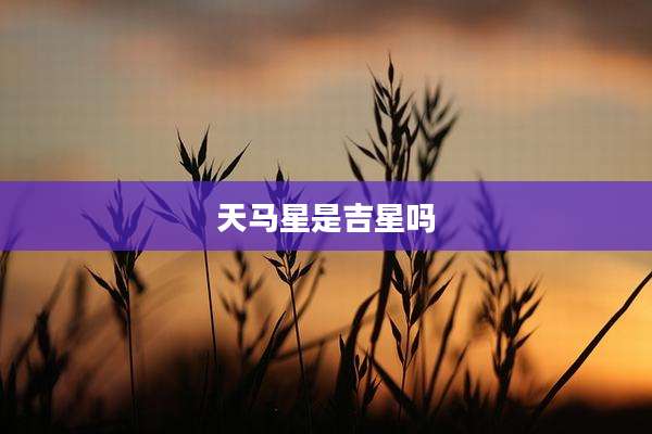 天马星是吉星吗