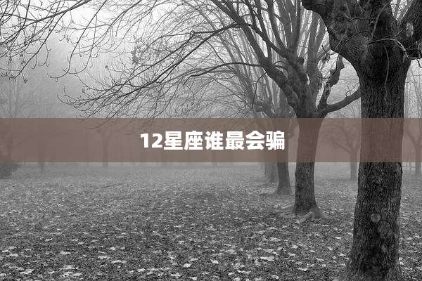 12星座谁最会骗