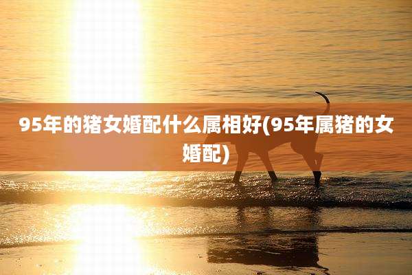 95年的猪女婚配什么属相好(95年属猪的女婚配)