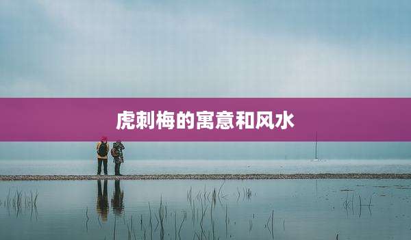 虎刺梅的寓意和风水