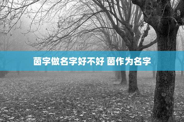 茵字做名字好不好 茵作为名字