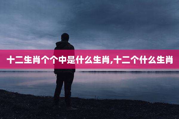 十二生肖个个中是什么生肖,十二个什么生肖