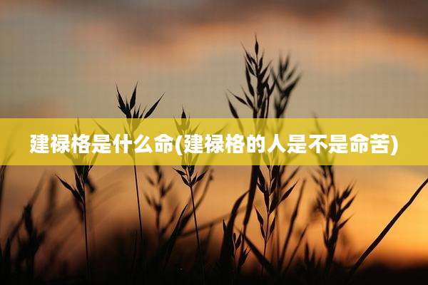 建禄格是什么命(建禄格的人是不是命苦)