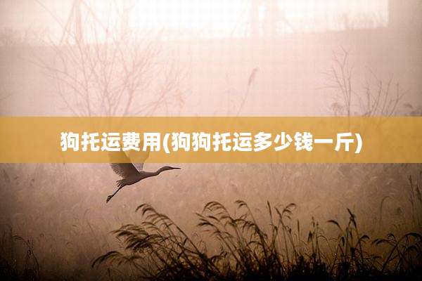 狗托运费用(狗狗托运多少钱一斤)
