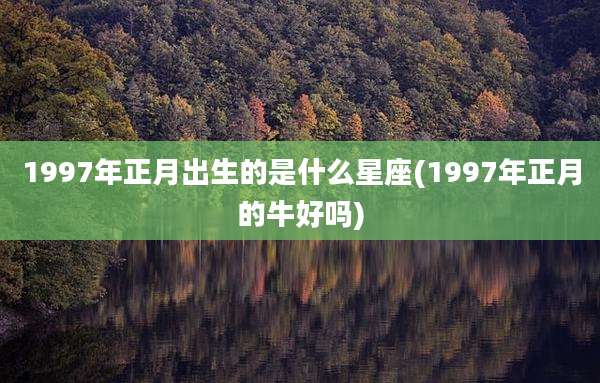 1997年正月出生的是什么星座(1997年正月的牛好吗)