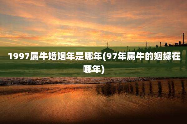 1997属牛婚姻年是哪年(97年属牛的姻缘在哪年)