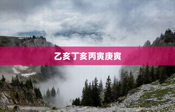 乙亥丁亥丙寅庚寅