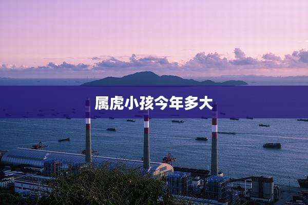 属虎小孩今年多大