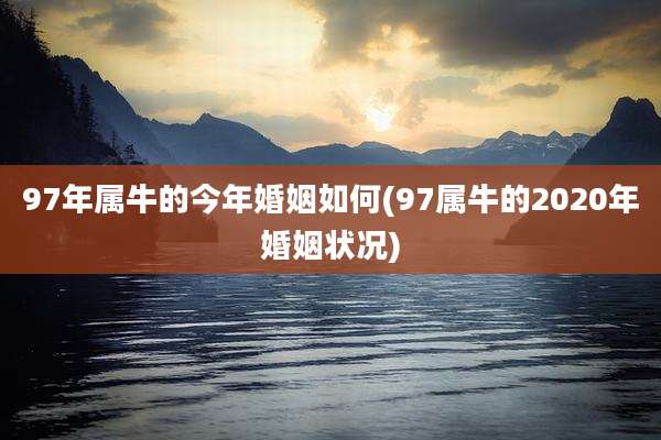 97年属牛的今年婚姻如何(97属牛的2020年婚姻状况)