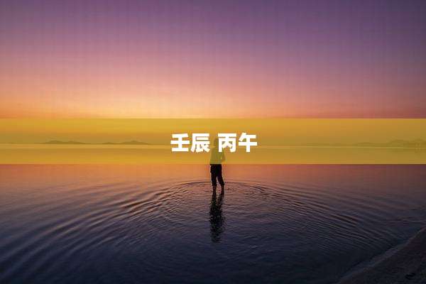 壬辰 丙午