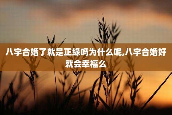 八字合婚了就是正缘吗为什么呢,八字合婚好就会幸福么