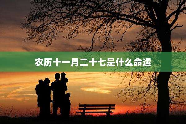 农历十一月二十七是什么命运