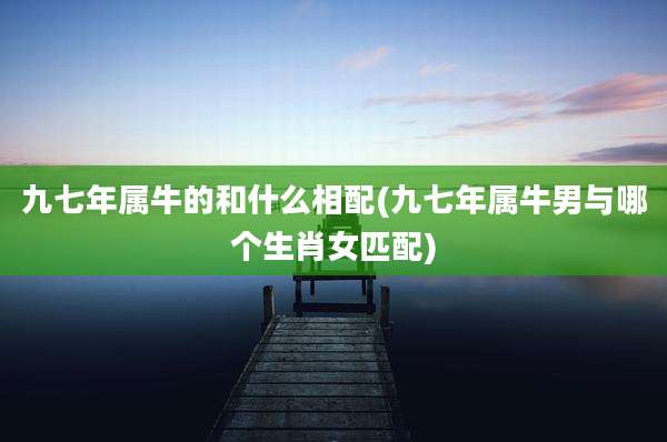 九七年属牛的和什么相配(九七年属牛男与哪个生肖女匹配)