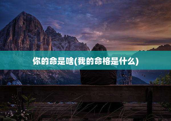 你的命是啥(我的命格是什么)