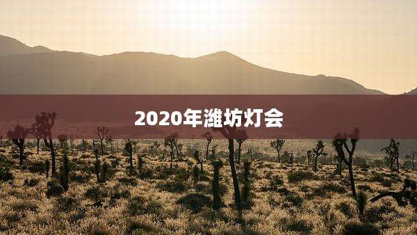 2020年潍坊灯会