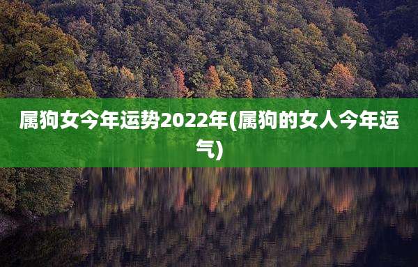 属狗女今年运势2022年(属狗的女人今年运气)