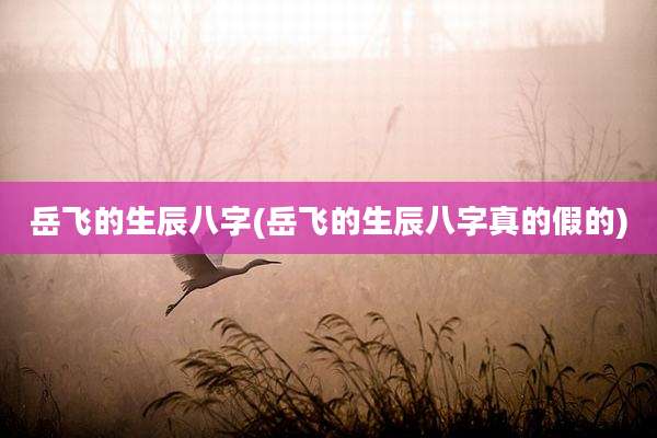 岳飞的生辰八字(岳飞的生辰八字真的假的)