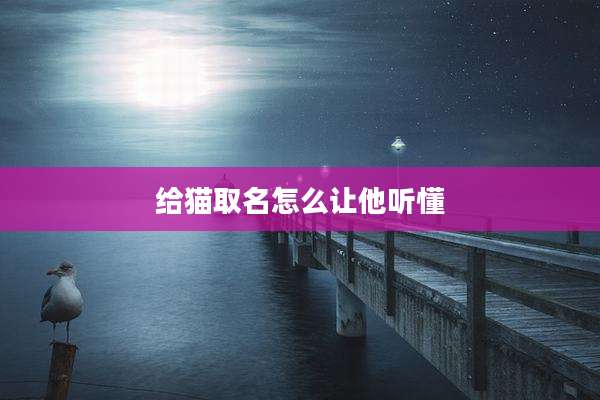 给猫取名怎么让他听懂