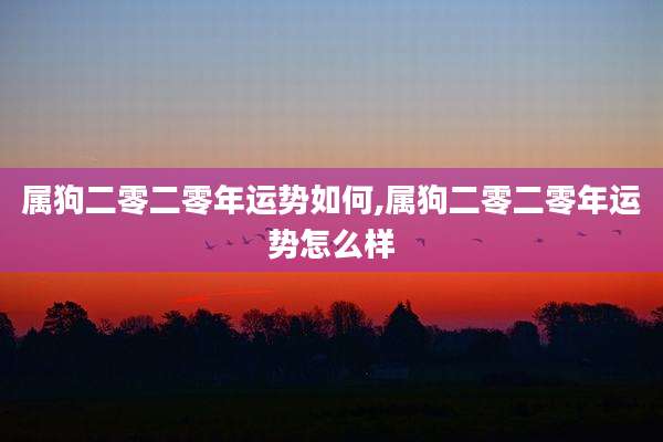 属狗二零二零年运势如何,属狗二零二零年运势怎么样