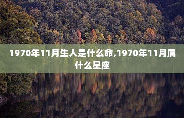 1970年11月生人是什么命,1970年11月属什么星座
