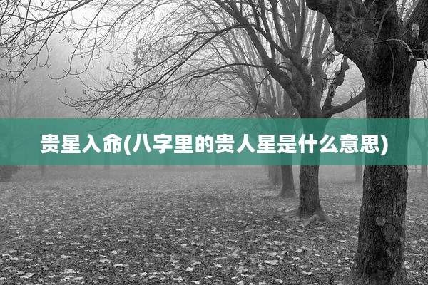 贵星入命(八字里的贵人星是什么意思)