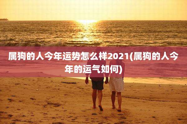 属狗的人今年运势怎么样2021(属狗的人今年的运气如何)