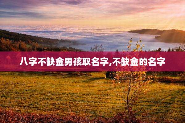 八字不缺金男孩取名字,不缺金的名字