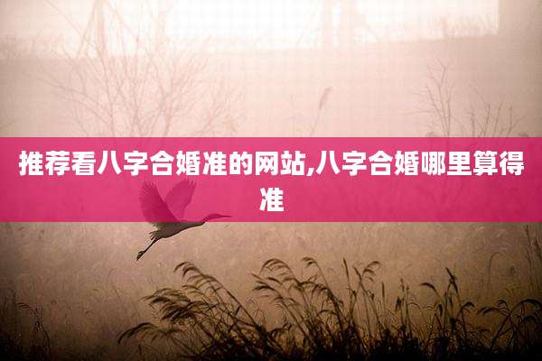 推荐看八字合婚准的网站,八字合婚哪里算得准