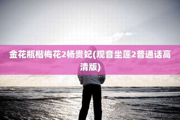金花瓶楷梅花2杨贵妃(观音坐莲2普通话高清版)