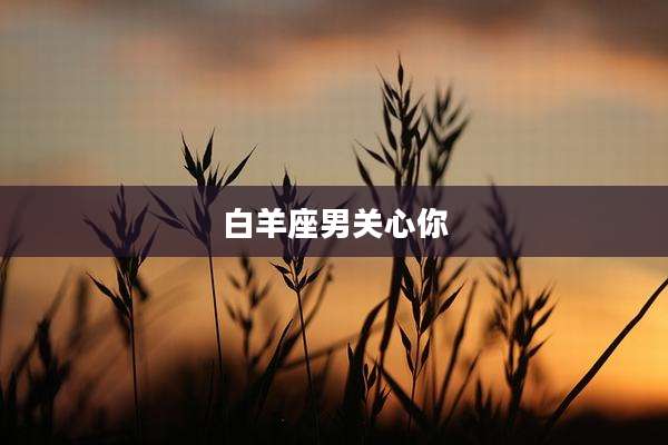 白羊座男关心你