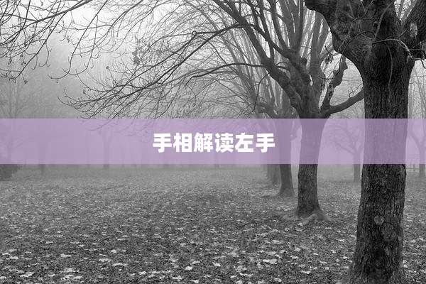 手相解读左手