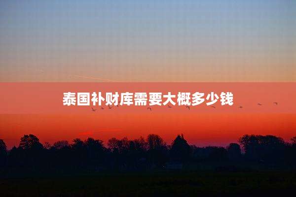 泰国补财库需要大概多少钱