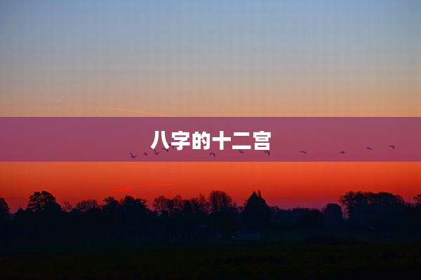 八字的十二宫
