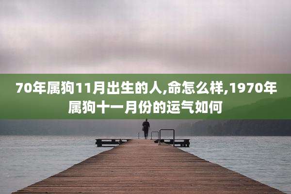 70年属狗11月出生的人,命怎么样,1970年属狗十一月份的运气如何