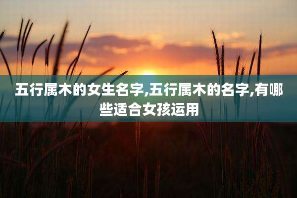 五行属木的女生名字,五行属木的名字,有哪些适合女孩运用