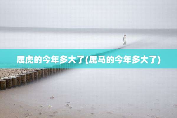 属虎的今年多大了(属马的今年多大了)