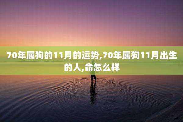 70年属狗的11月的运势,70年属狗11月出生的人,命怎么样