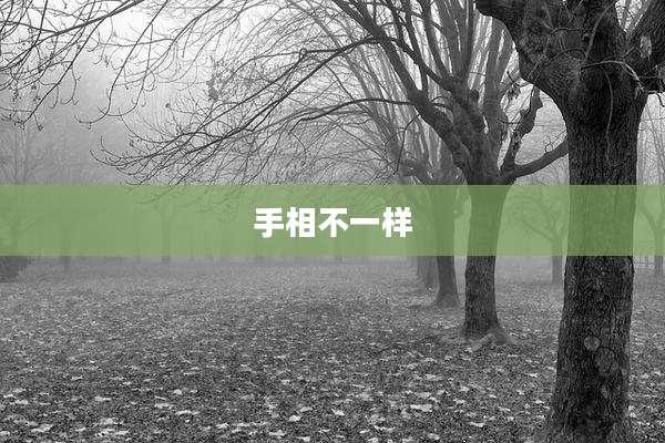 手相不一样