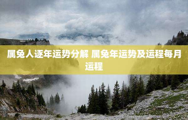 属兔人逐年运势分解 属兔年运势及运程每月运程