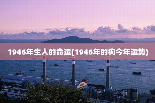 1946年生人的命运(1946年的狗今年运势)