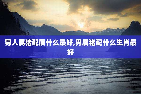男人属猪配属什么最好,男属猪配什么生肖最好