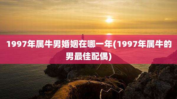 1997年属牛男婚姻在哪一年(1997年属牛的男最佳配偶)