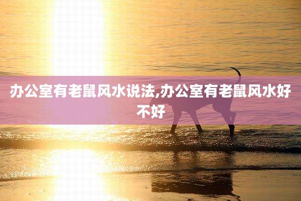 办公室有老鼠风水说法,办公室有老鼠风水好不好