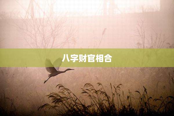 八字财官相合
