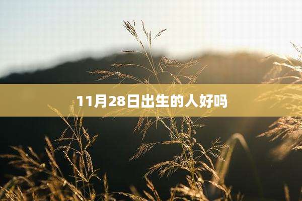 11月28日出生的人好吗