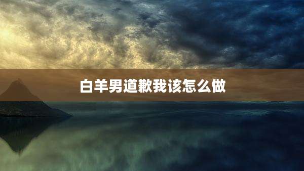 白羊男道歉我该怎么做