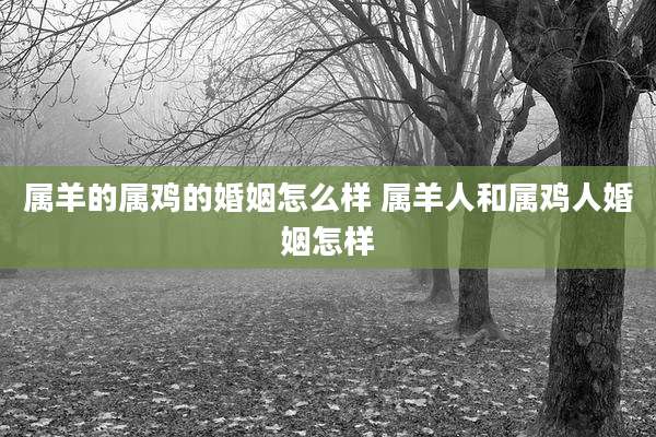 属羊的属鸡的婚姻怎么样 属羊人和属鸡人婚姻怎样