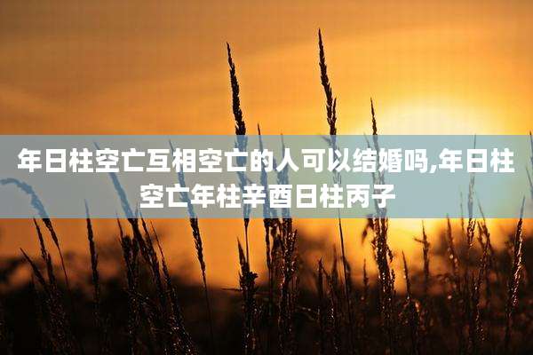年日柱空亡互相空亡的人可以结婚吗,年日柱空亡年柱辛酉日柱丙子