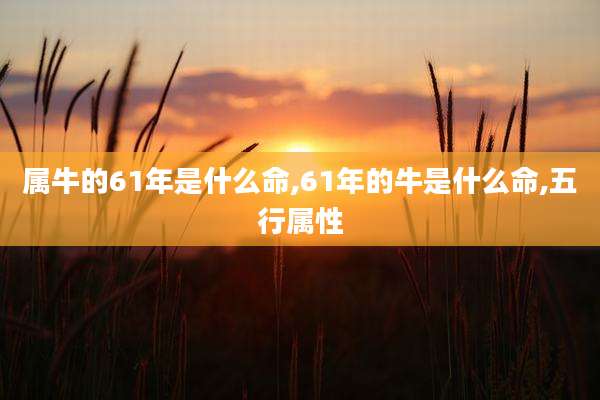 属牛的61年是什么命,61年的牛是什么命,五行属性
